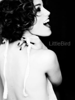 LittleBird