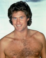 david hasselhoff