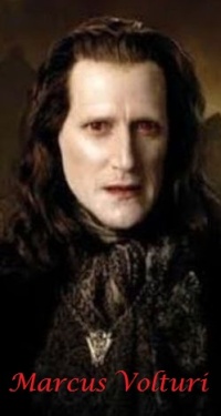 Marcus Volturi