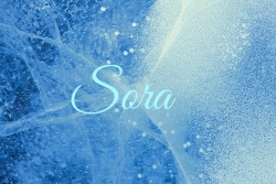 Sora