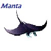 Manta2k5