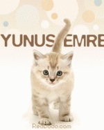 yunusemre