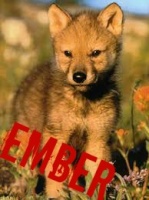 Ember