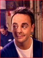 ANT&DEC4BUSHTUCKER