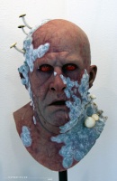 The Mold Man