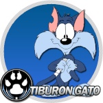 Tiburon Gato