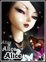 Alice