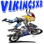 VikinGsxR