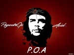 P.O.A