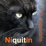 Niquitin