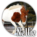 Nellie