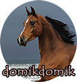 domik.domik