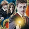 harry, ron y  hermione