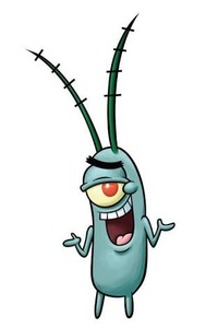 plankton