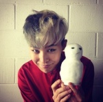 Kwon Ji-yong