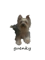 guenky