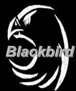 Blackbird_1985