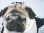 keke68