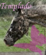 templado/jewel