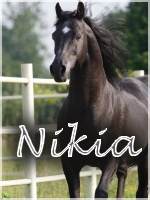 Nikia