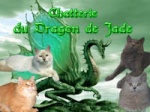 dragondejade