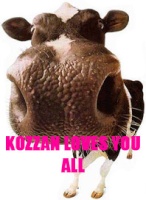 Kozzan