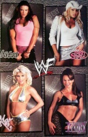 WWEDIVASATW100%