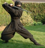 Shinobi