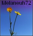 Melaneuh72