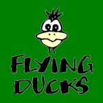 Flying Duck