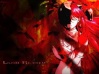 elfe lied