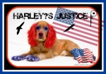 Harley's Justice