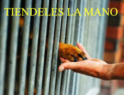 Tiendeles la mano