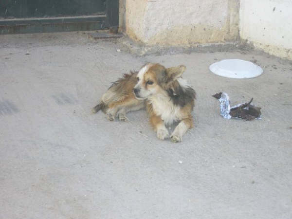 Tomy, vivia en la calle