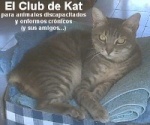 Debbie - Club de Kat