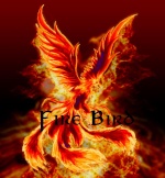 [Admin] Fire Bird