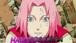 harunosakura