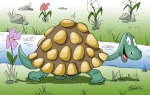 tortue4