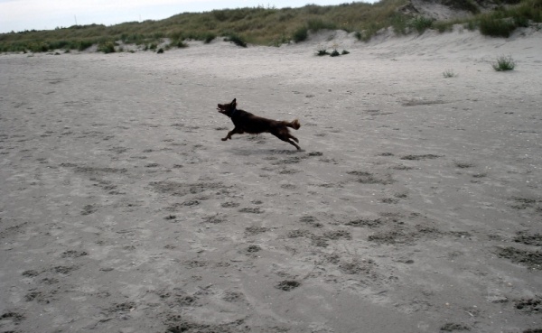 Isabel corre sulla spiaggia