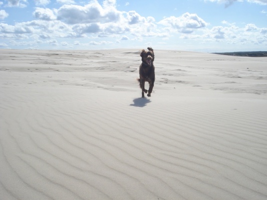 Isabel nel 'deserto di sabbia'