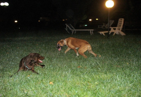 Yuma e Isabel dopo la lezione