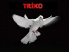 triko16