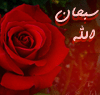 شاطئ بلا امواج