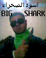 BIG SHARK