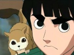 Rock Lee