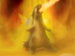 typhlosion07