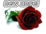 new angel