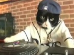 dj_the_chat