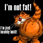 fat_Cat