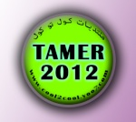 Tamer 2012